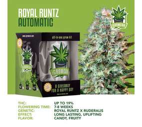 iGrowCan Royal Runtz Autoflower iGrowCan Royal Runtz Autoflower