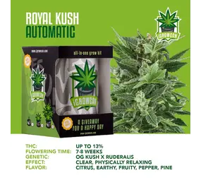 iGrowCan Royal Kush Autofloreciente iGrowCan Royal Kush Autofloreciente