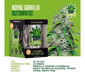 iGrowCan Royal Gorilla Autofloreciente iGrowCan Royal Gorilla Autofloreciente