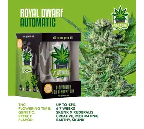 iGrowCan Autofloreciente enana real iGrowCan Autofloreciente enana real