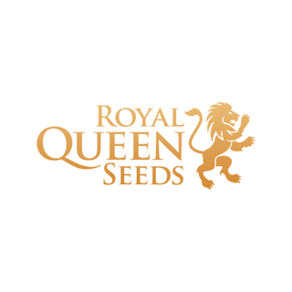 Royal Queen Seeds