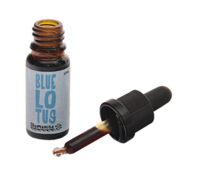 Shamanita Blue Lotus 10x extract – 10 ML Shamanita Blue Lotus 10x extract – 10 ML