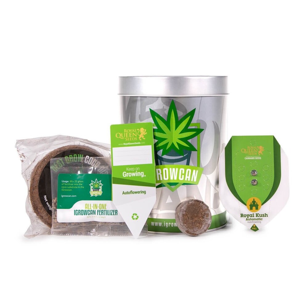 ROYAL CRITICAL AUTO (IGC) The Quick and Easy Version of
