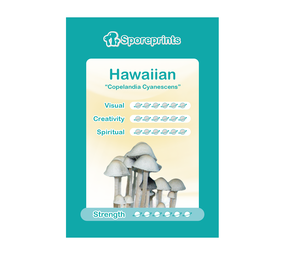 Novus Fumus Sporenprints Novus Fumus Sporenprints