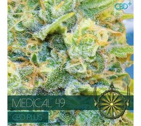 Vision Seeds Medical 49 – CBD+ Vision Seeds Medical 49 – CBD+