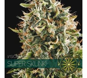 Vision Seeds Super Skunk Vision Seeds Super Skunk