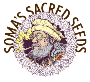 Soma Sacred Seeds