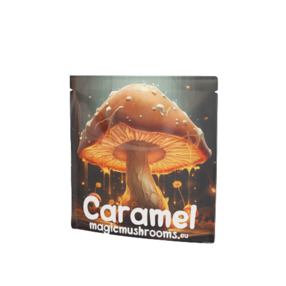 MagicMushrooms Caramel Fudge