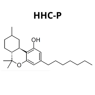 Découvrez la polyvalence des produits HHC-P : des alternatives de haute qualité pour une expérience unique.