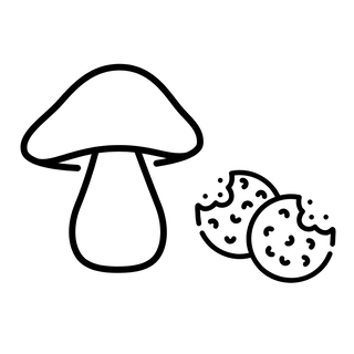 Verken de Kracht van Paddenstoelen: Supplementen & Edibles