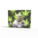 The High Company Ontspannende mix met OG Kush smaak – Herbz and Terpz Pouch The High Company Ontspannende mix met OG Kush smaak – Herbz and Terpz Pouch