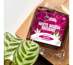 Cannabis Bakehouse Brownie au cannabis Cannabis Bakehouse Brownie au cannabis