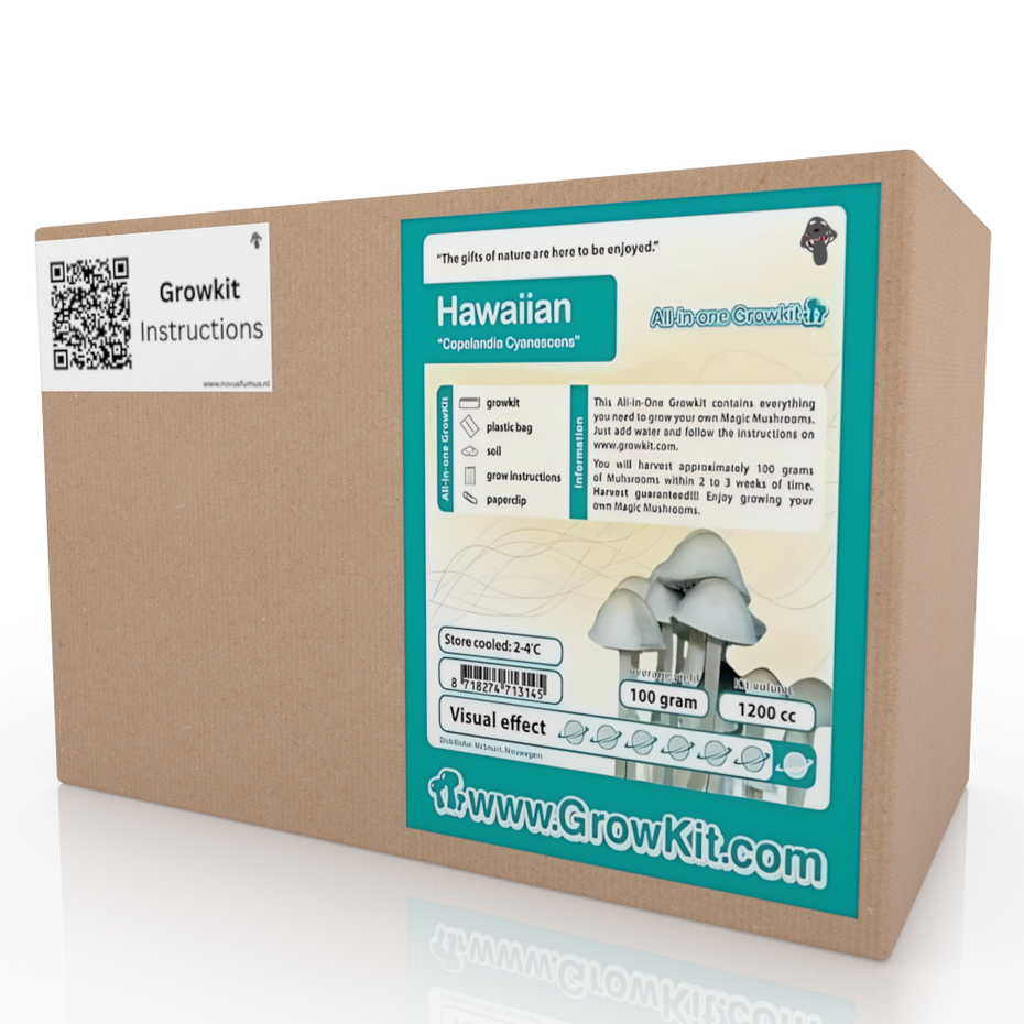 High Hawai Mushroom Grow Kit