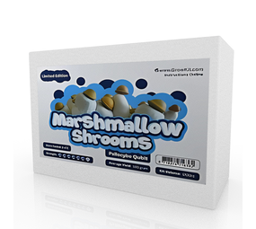 McSmart Marshmallow Shrooms Growkit - Edición Limitada McSmart Marshmallow Shrooms Growkit - Edición Limitada