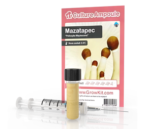 Novus Fumus Mazatapec – zestaw ampułek kulturowych Novus Fumus Mazatapec – zestaw ampułek kulturowych