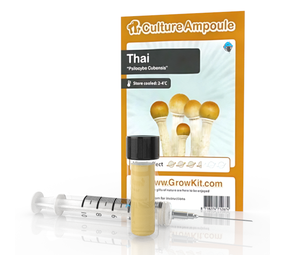 Novus Fumus Zestaw ampułek Thai – Culture Novus Fumus Zestaw ampułek Thai – Culture