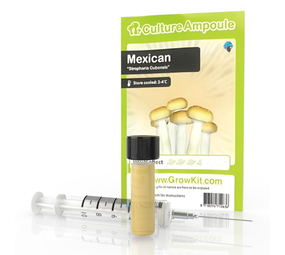 McSmart Meksykański - zestaw ampułek kulturowych McSmart Meksykański - zestaw ampułek kulturowych