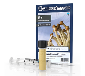 Novus Fumus B Plus - ensemble d'ampoule de culture Novus Fumus B Plus - ensemble d'ampoule de culture