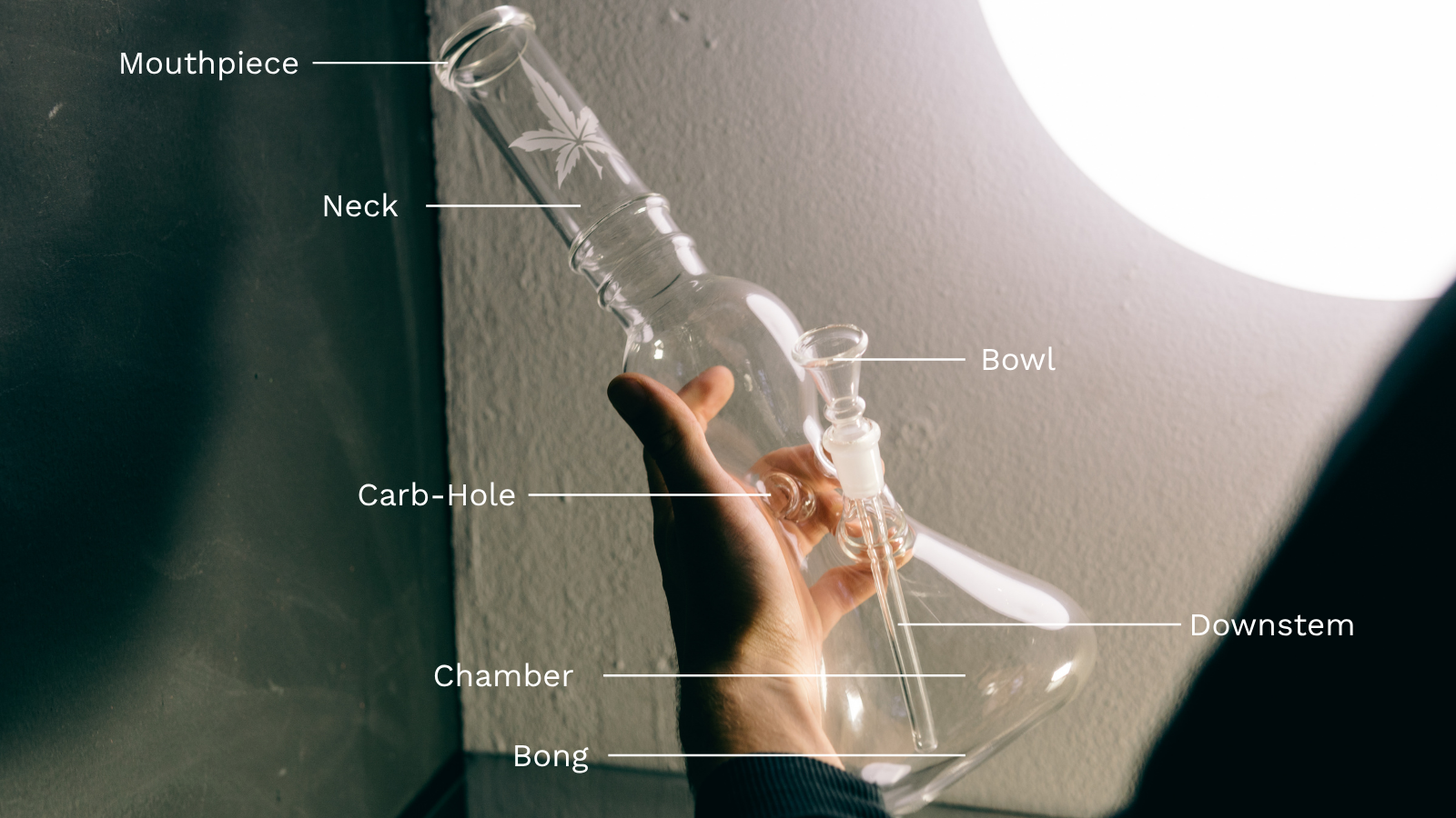 Anatomy Of A Bong