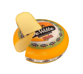 De Witte Goudse Jung 48+ De Witte Goudse Jung 48+