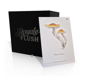 Royale Flush Mexicana Growkit -1200cc Royale Flush Mexicana Growkit -1200cc