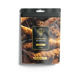 McMyco Kapsułki z ekstraktem Cordyceps McMyco Kapsułki z ekstraktem Cordyceps