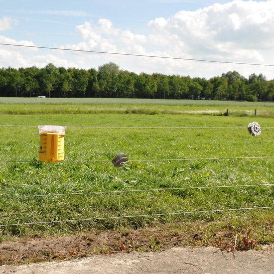 Gallagher Wildverjager Foxlight