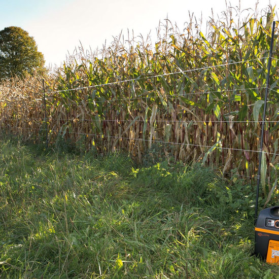 Gallagher Hertenpaal kunststof 1,70 m zwart (10 stuks)