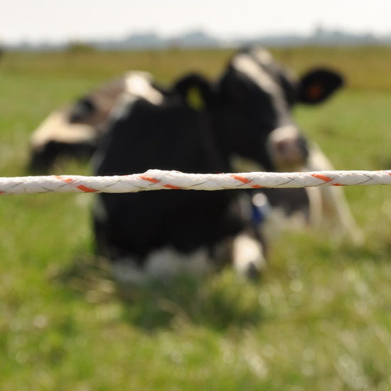 Gallagher Vidoflex 9 Turboline Plus wit 2x400 m