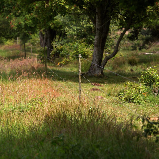 Gallagher Bevestigingsdraadje lang 1000 st