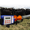 Gallagher Batt-Latch Automatische poortopener timer