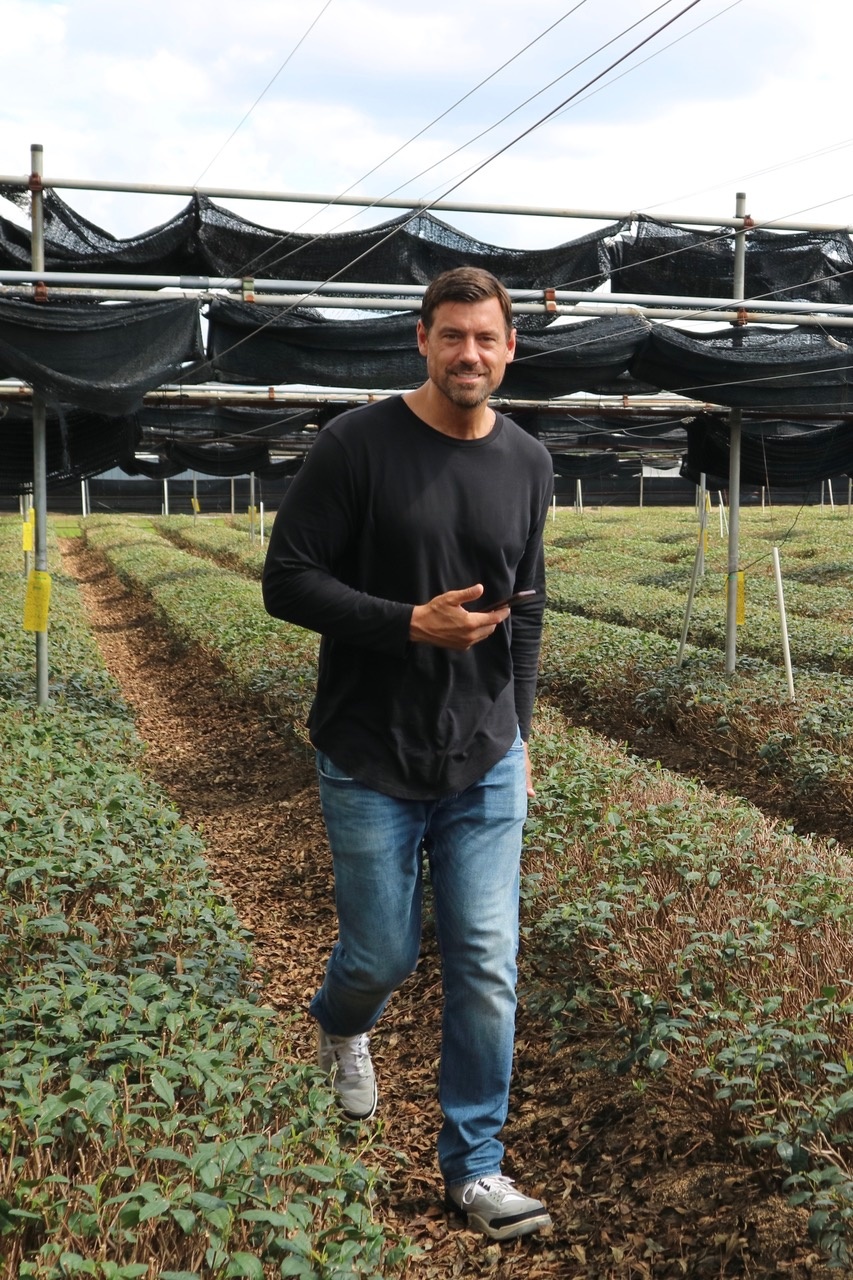 Ceremonial Silver Matcha Uji