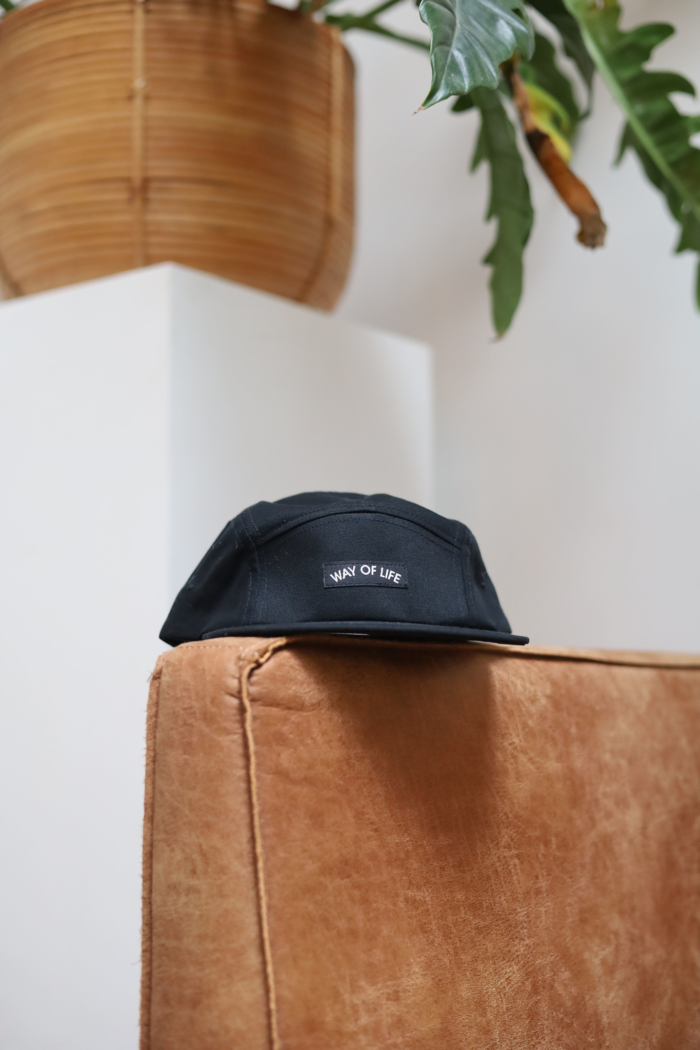 WAY OF LIFE urban cap (black)