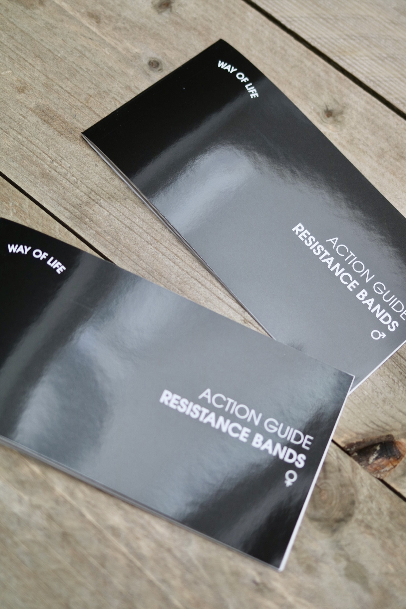 WAY OF LIFE resistance bands (V) + XXL