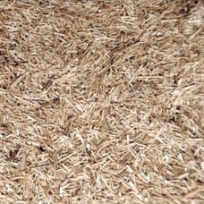 Leinstroh Einstreu 21 Ballen – natürlich & saugfähig