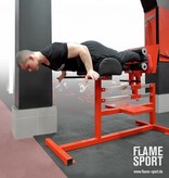 FLAME SPORT Glute/ Hamstring Station (4L)