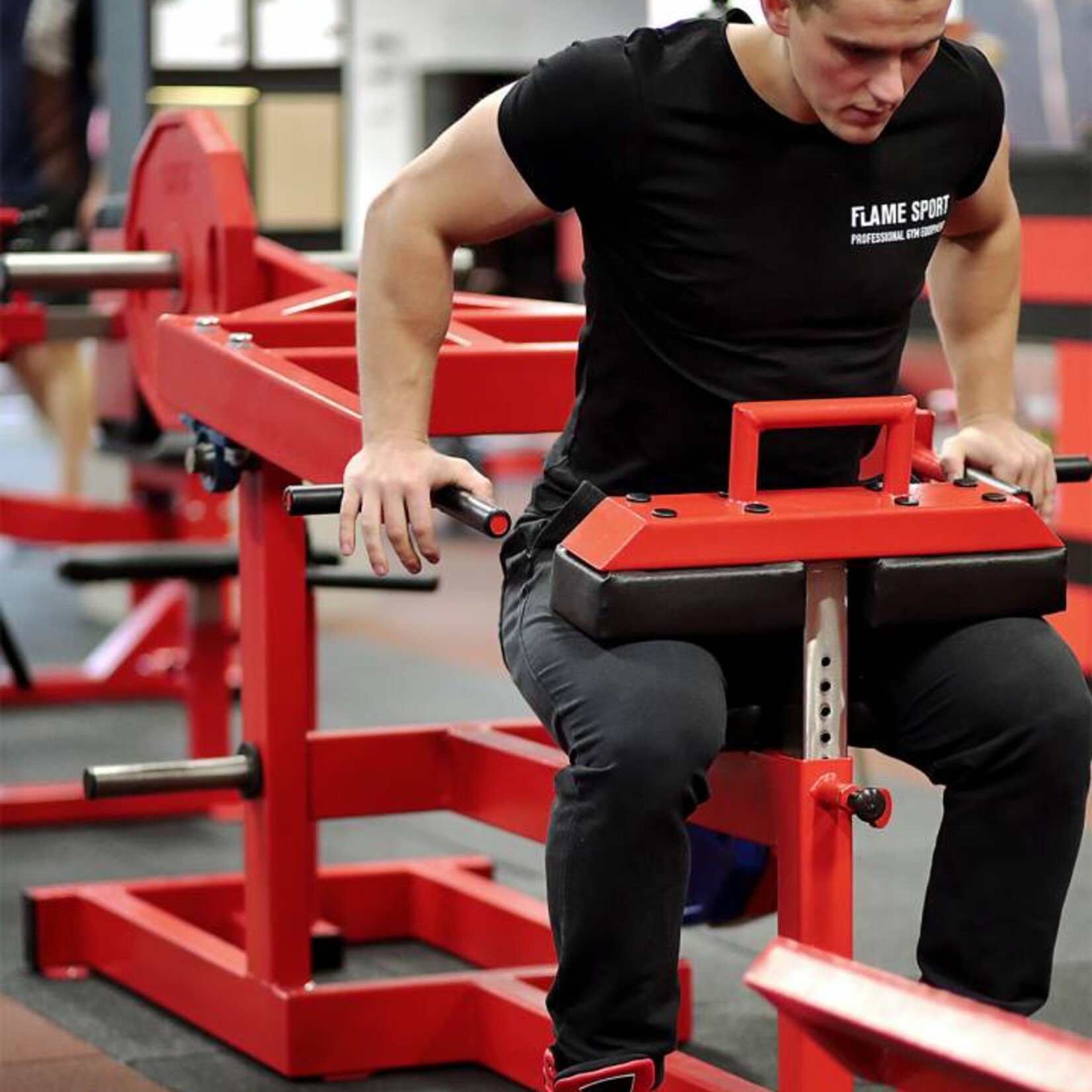 Trizepstrainer (6KX) / Dips im Sitzen / Plate loaded