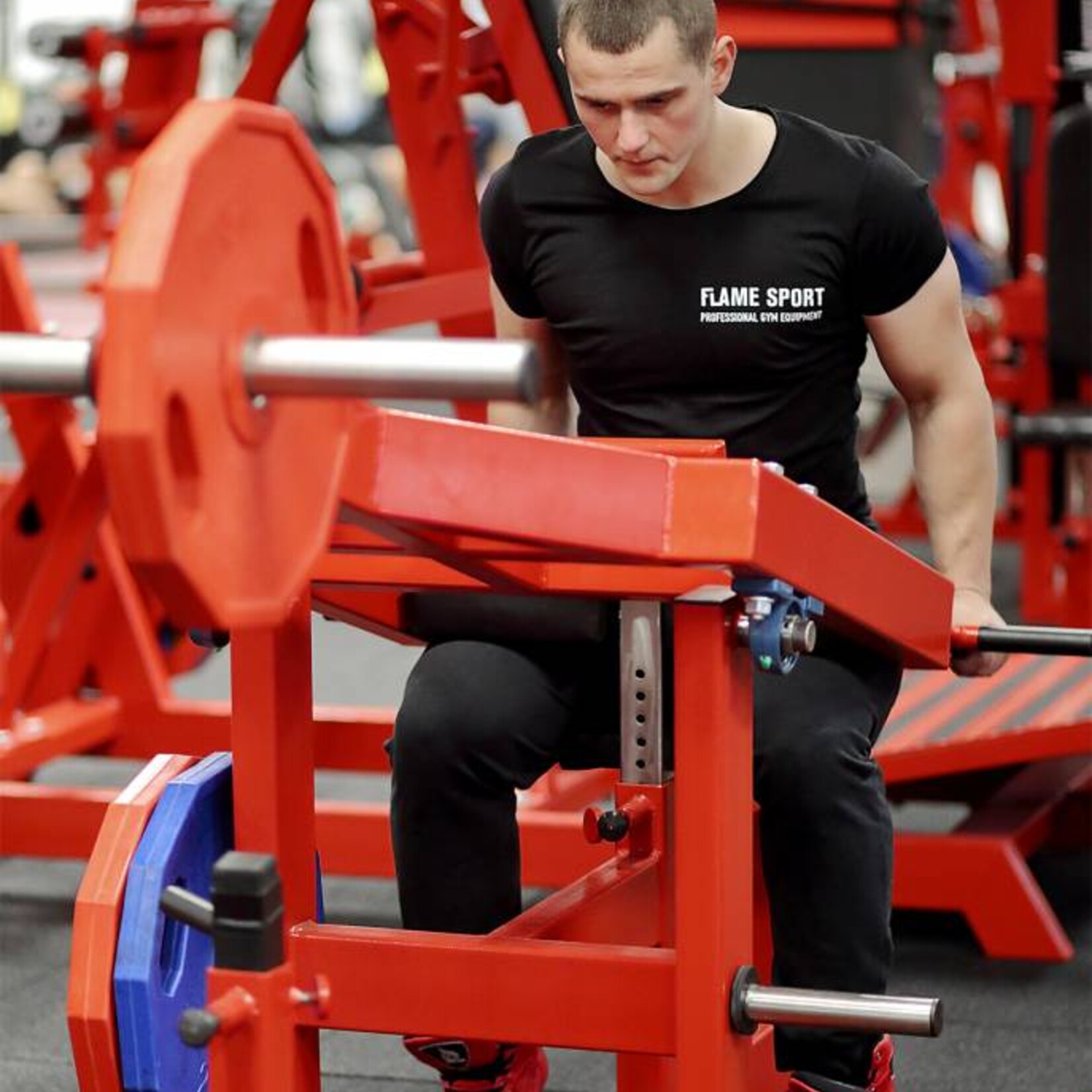 Trizepstrainer (6KX) / Dips im Sitzen / Plate loaded