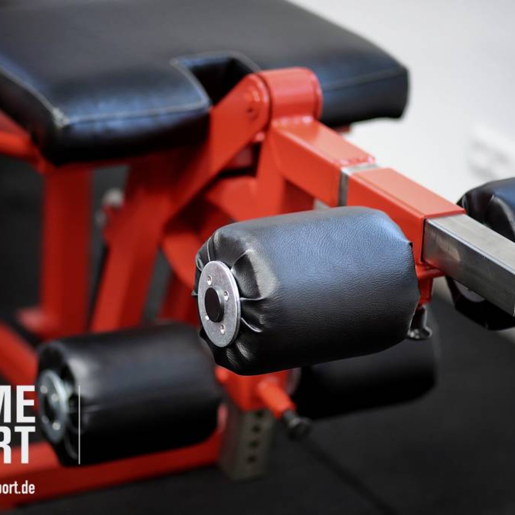 Leg Extension & Curl Machine (8M)