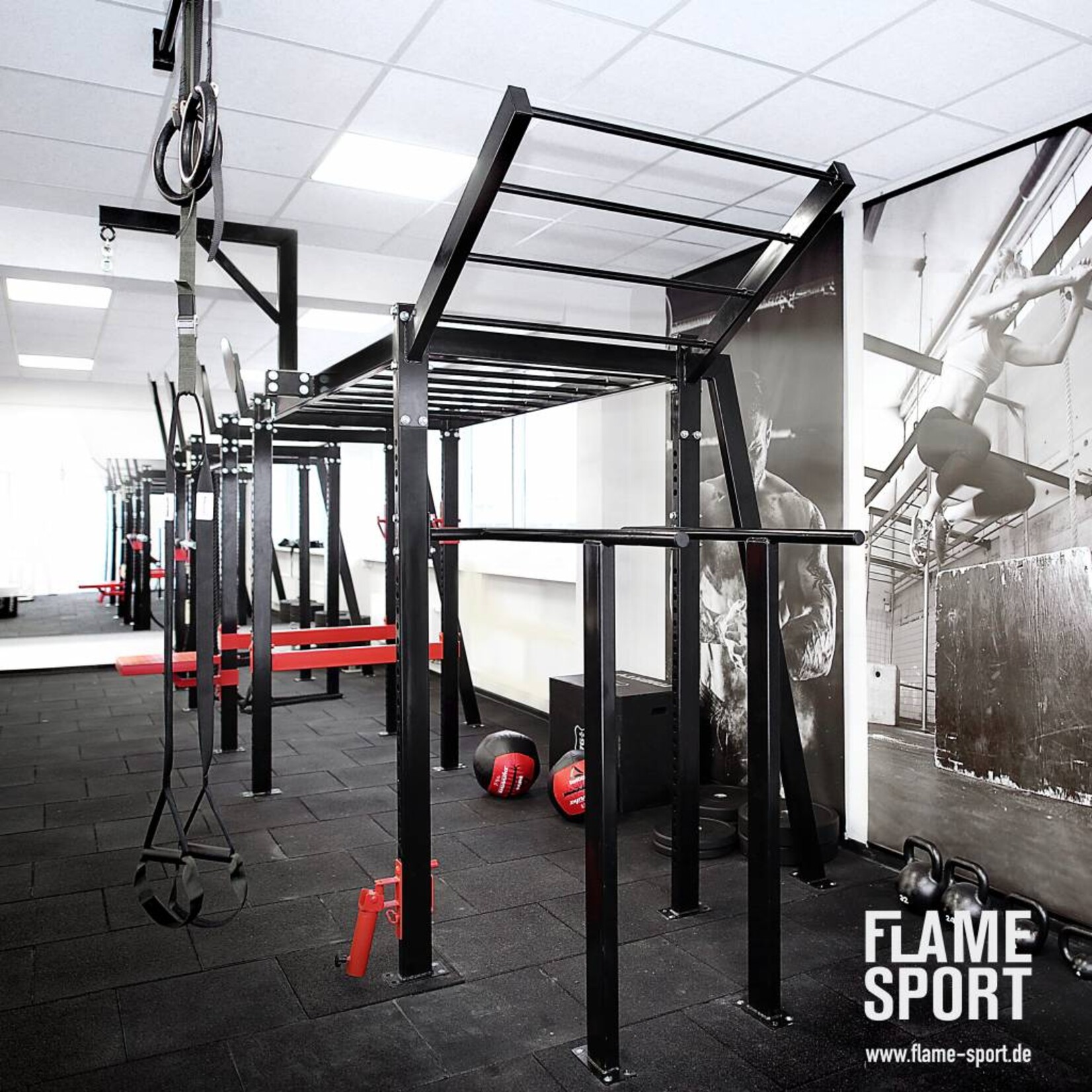 Power Cage (5TX)