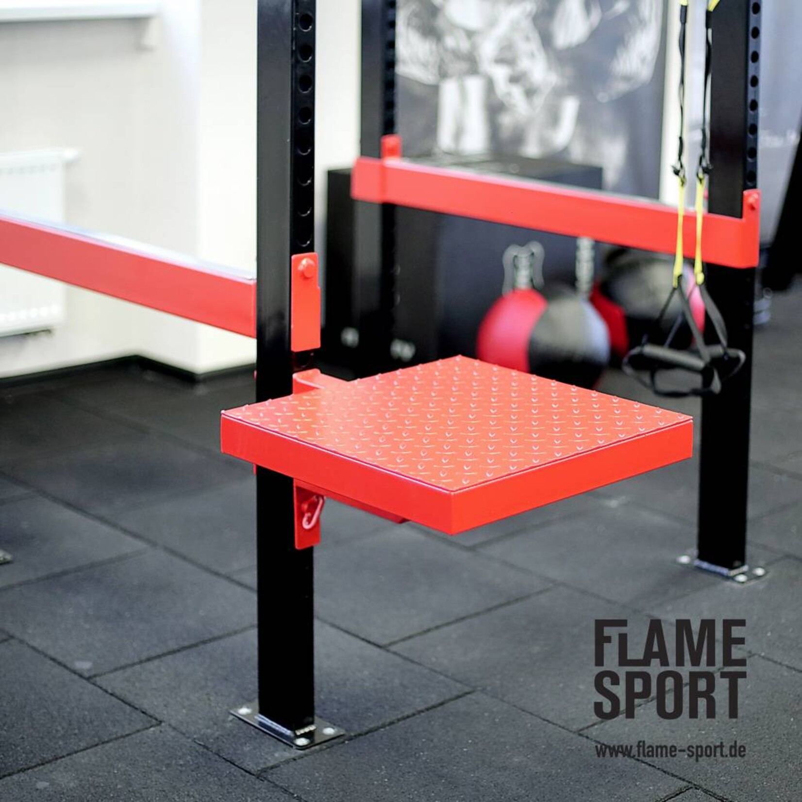 CrossFit Power Cage (5TX)