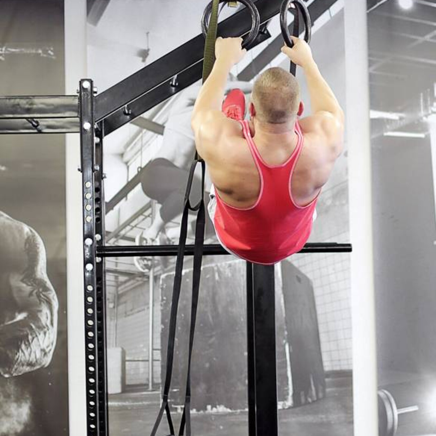 Power Cage (5TX)