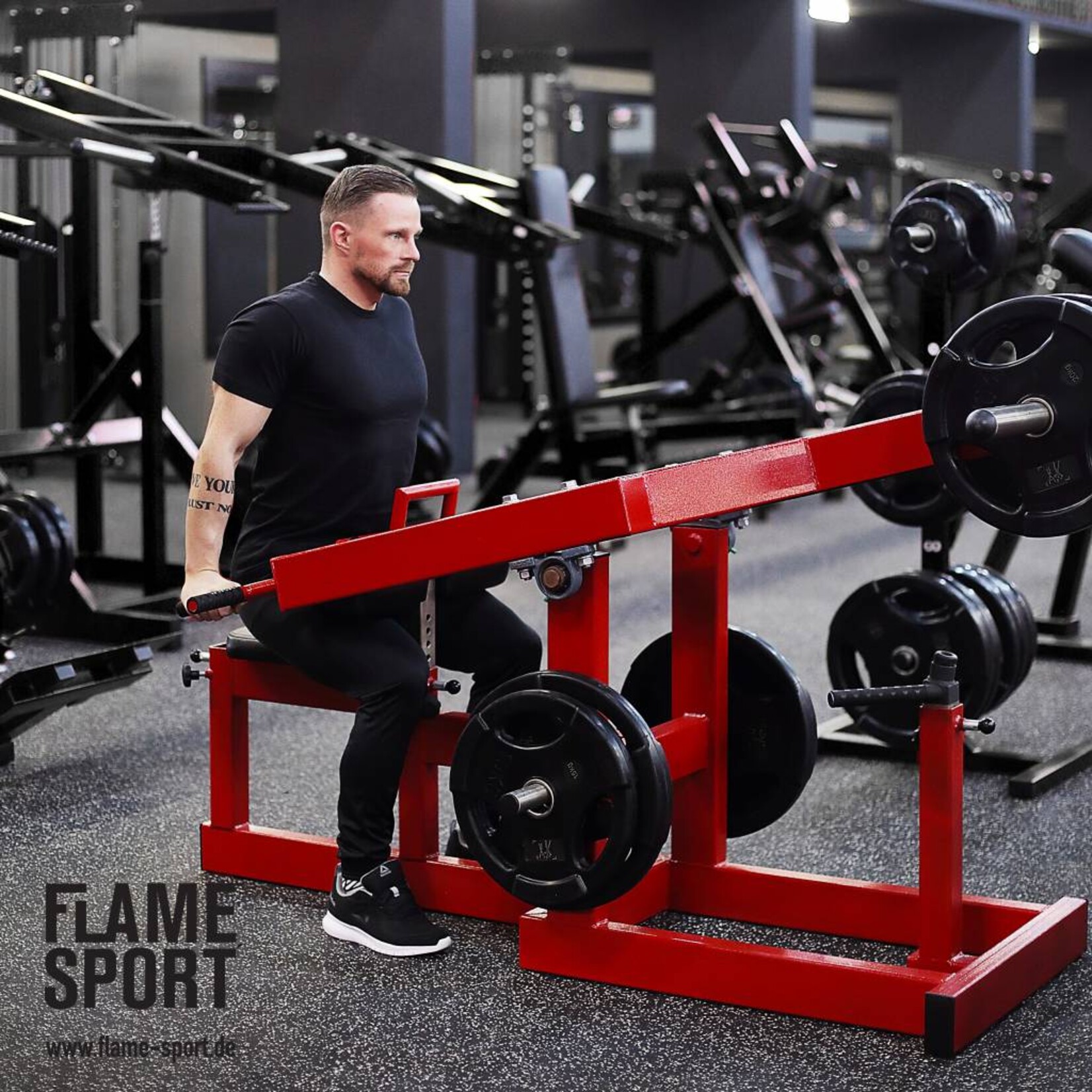 Trizepstrainer (6KX) / Dips im Sitzen / Plate loaded