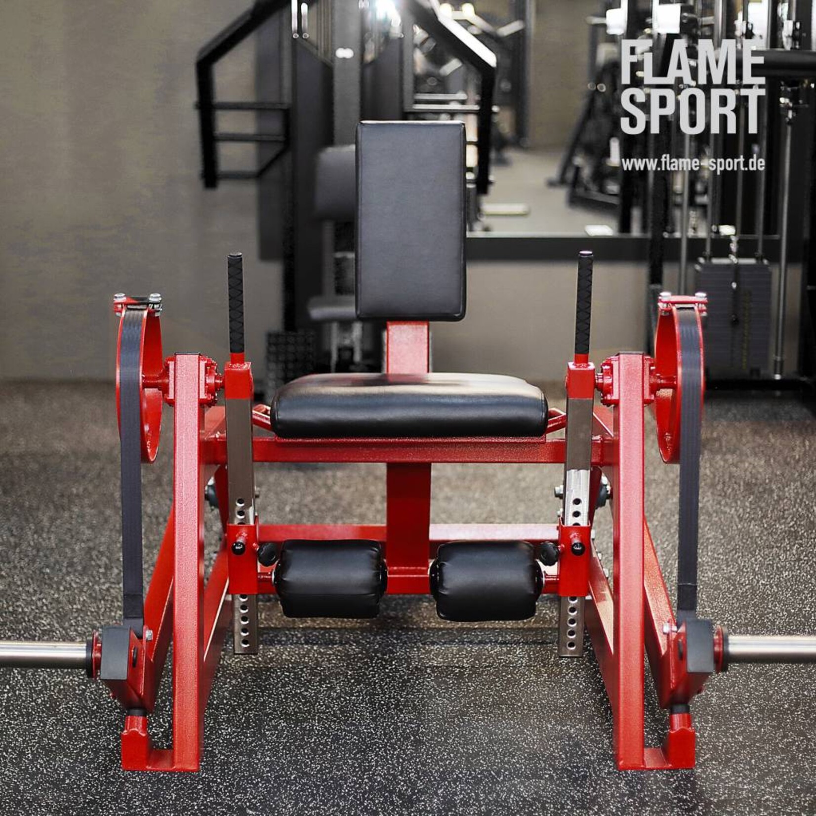 Leg Extension Machine (6D)