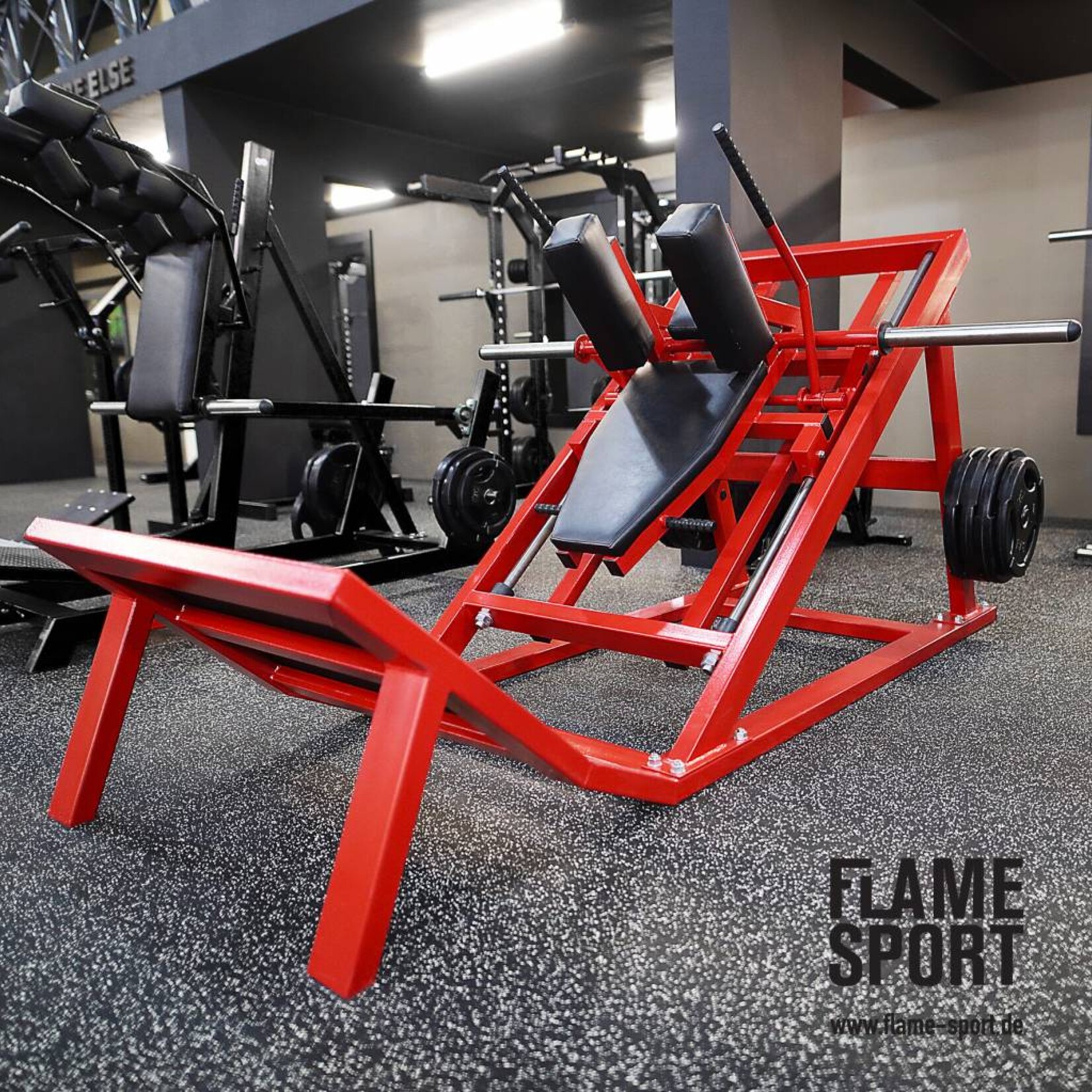 Hack-Squat Machine (1D)