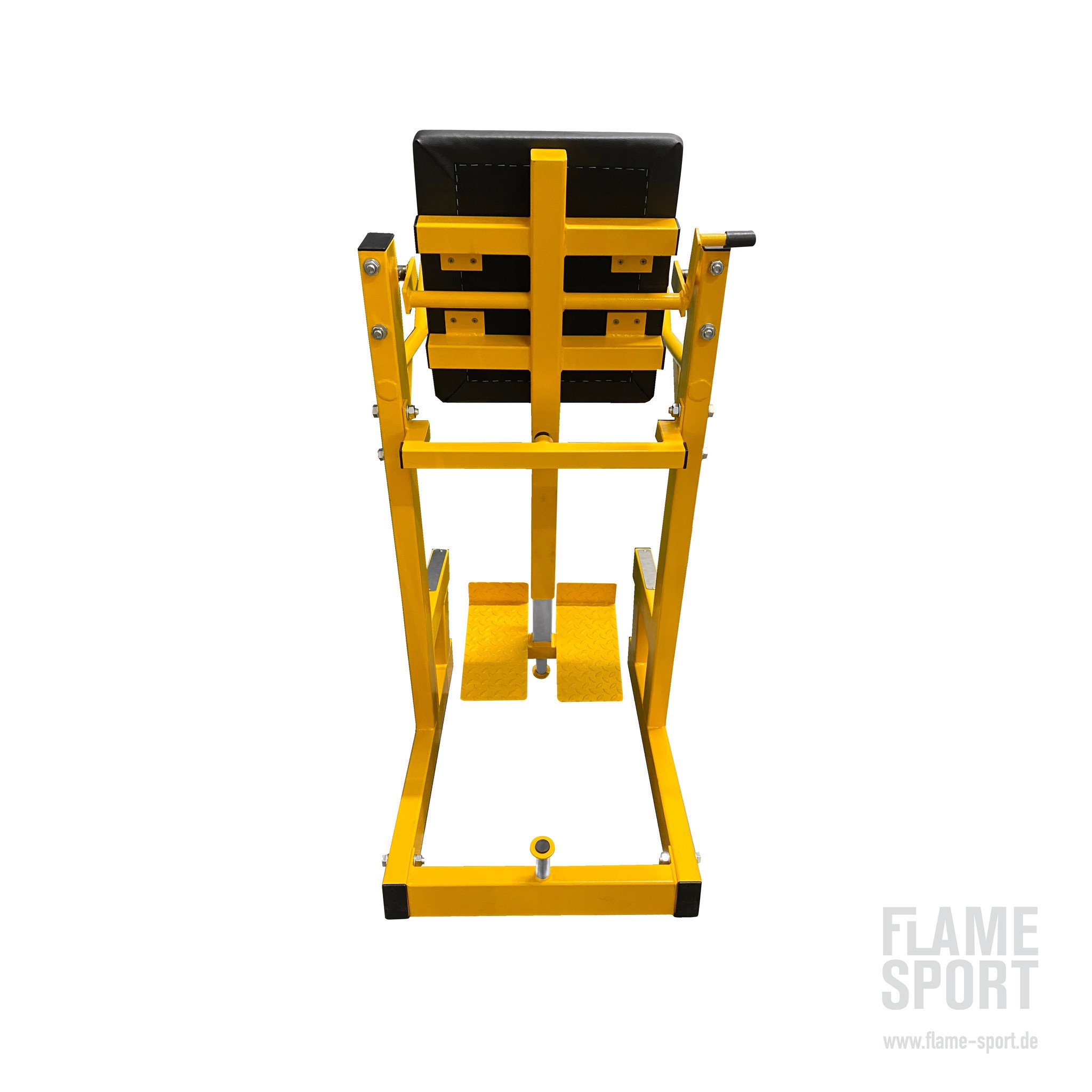 Leg Raise Machine (4E)