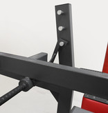 Pendulum squats (3RX)  with adjustable platform