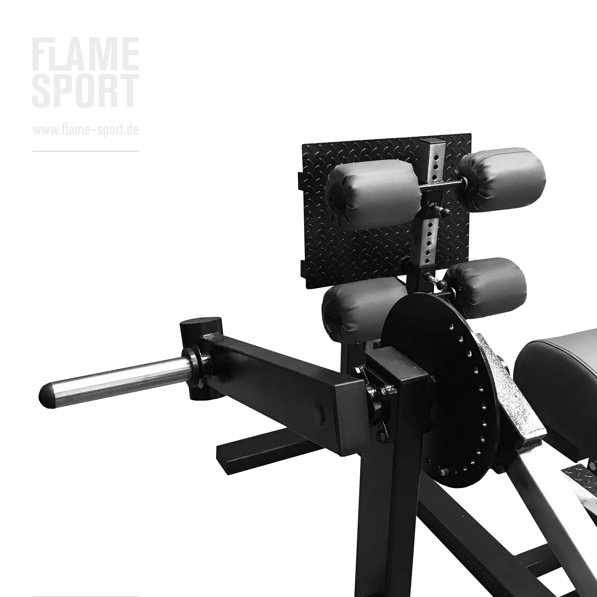 Inverse Curl Machine (4LX) FLAME SPORT FLAME SPORT Professional Gym