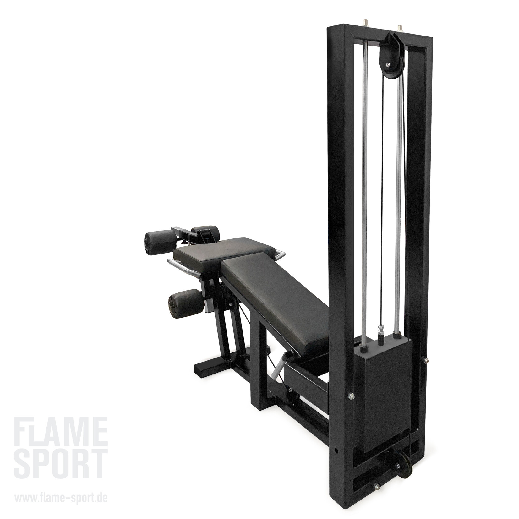 Leg Extension & Curl Machine (8M)