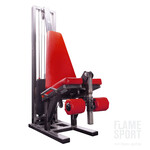 Leg Extension Machine (8MX)